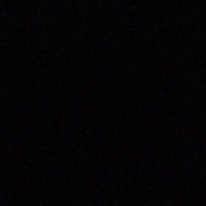 Meet your Posher, Bella